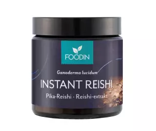 Foodin Instant Reishi, 40 g