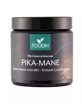 FOODIN Pika-Mane 40 g (Lion's mane)