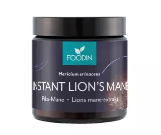 FOODIN Pika-Mane 40 g (Lion's mane)
