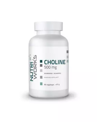 Nutri Works Choline, 500 mg, 90 kaps.