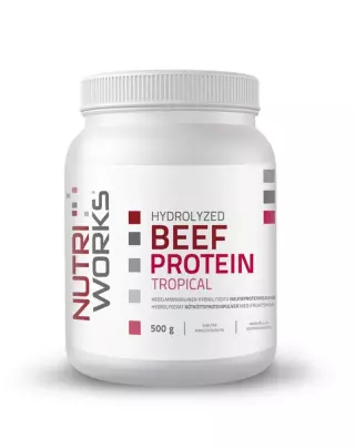 Nutri Works Hydrolyzed Beef Protein, 500 g, Tropical